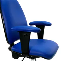 Adjustable matching upholstered vinyl arms